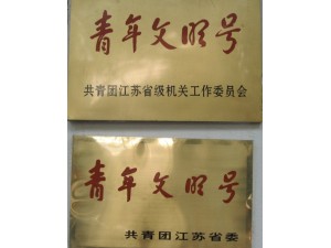 2001年度省級青年文明號(hào)