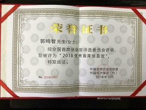 2018優(yōu)秀首席信息官