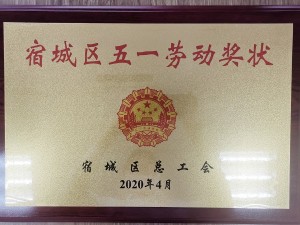 2020天泓楚漢宿遷市宿城區(qū)“五一勞動(dòng)獎(jiǎng)狀”