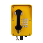 SIP Network All-Weather Voice Station YD-QT01